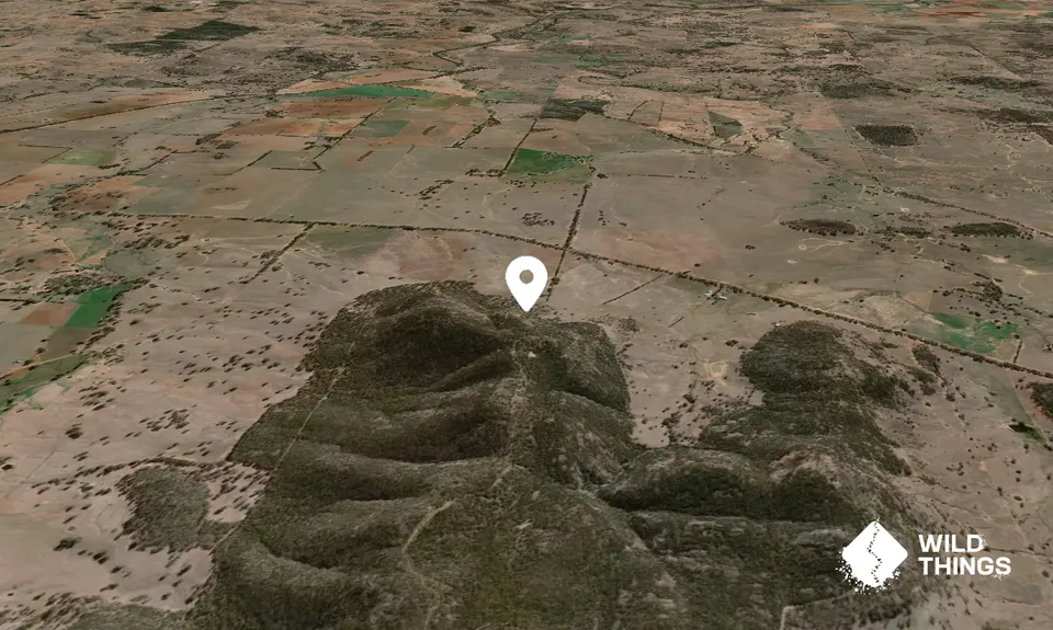 Yahoo Peaks