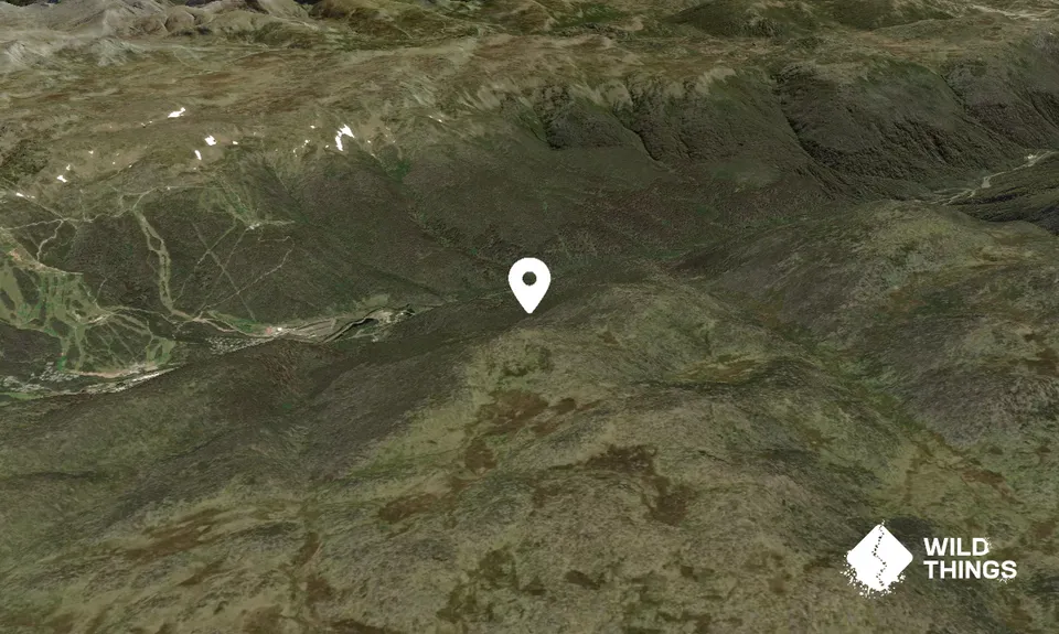 Paddy Rushs Bogong