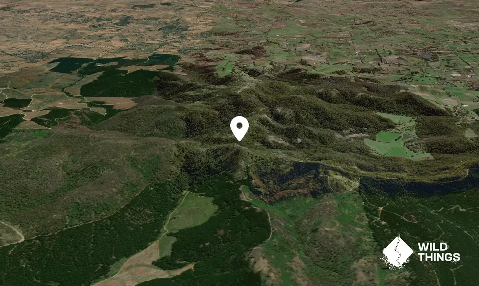 Mount Towac