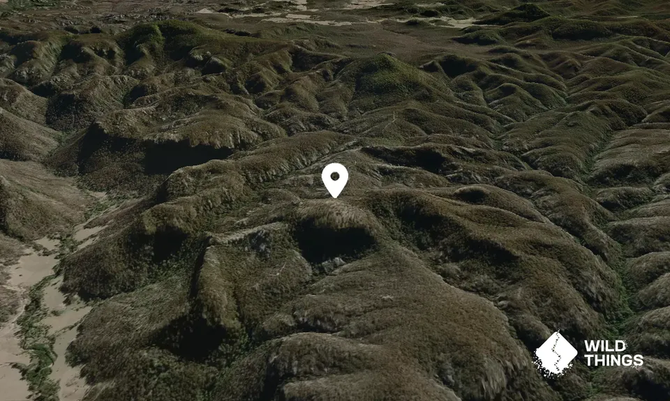 Grassy Mountain