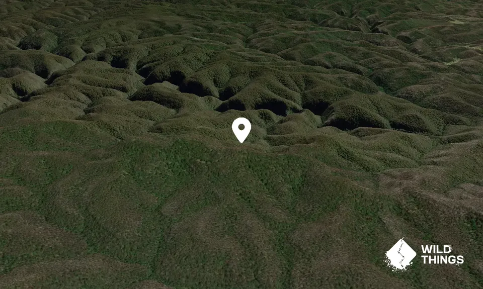 Mount Wirraba