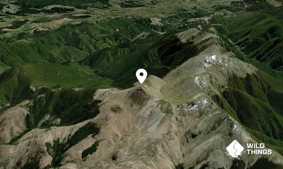 Mount Ellis