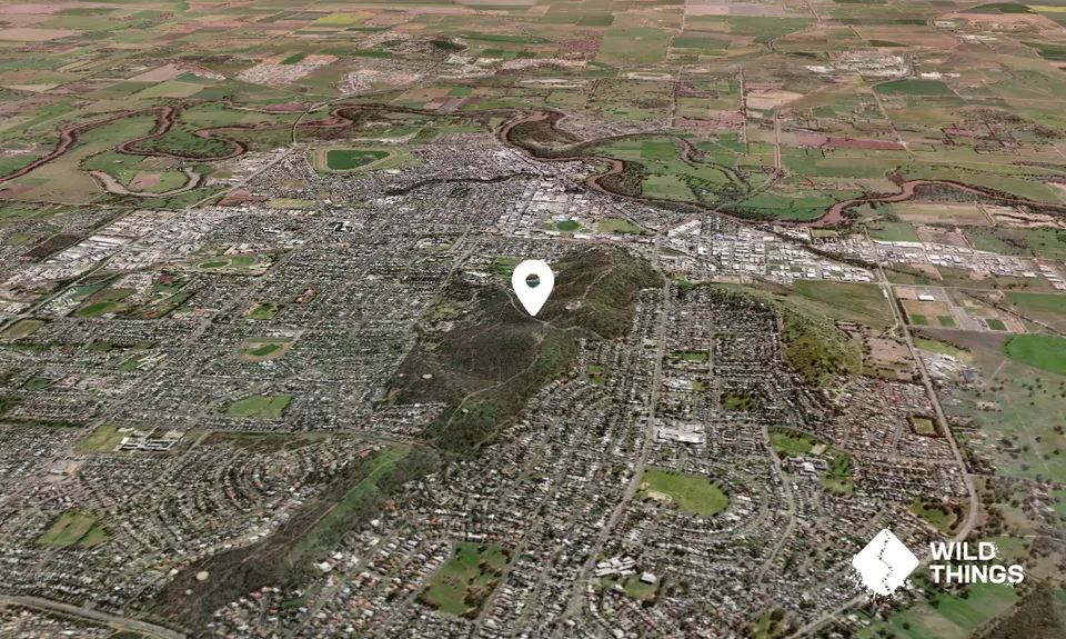 Willans Hill