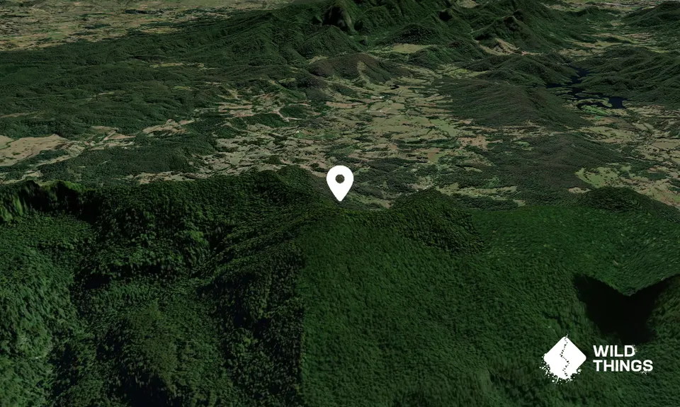 Mount Neville