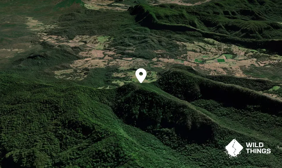 Middle Mount