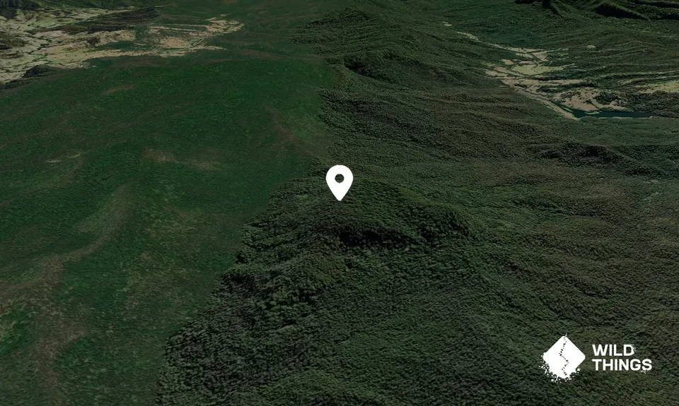 Mount Brown