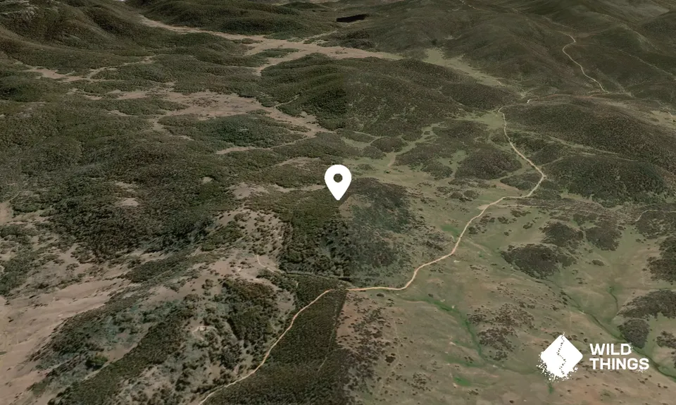 Wrights Hill