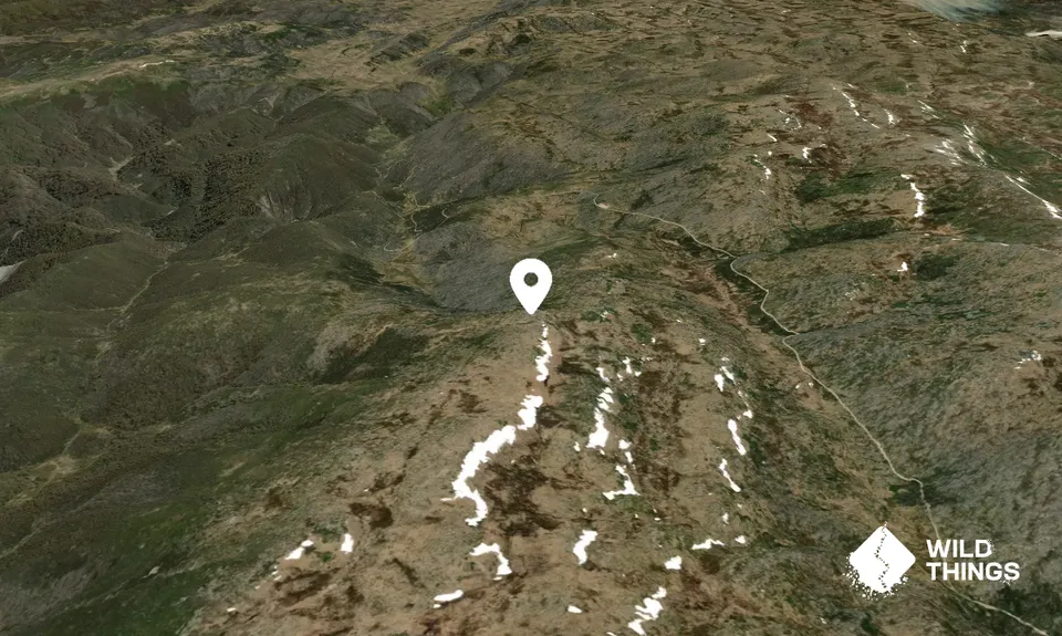Dicky Cooper Bogong