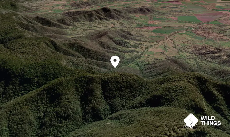 Shepherd's Peak