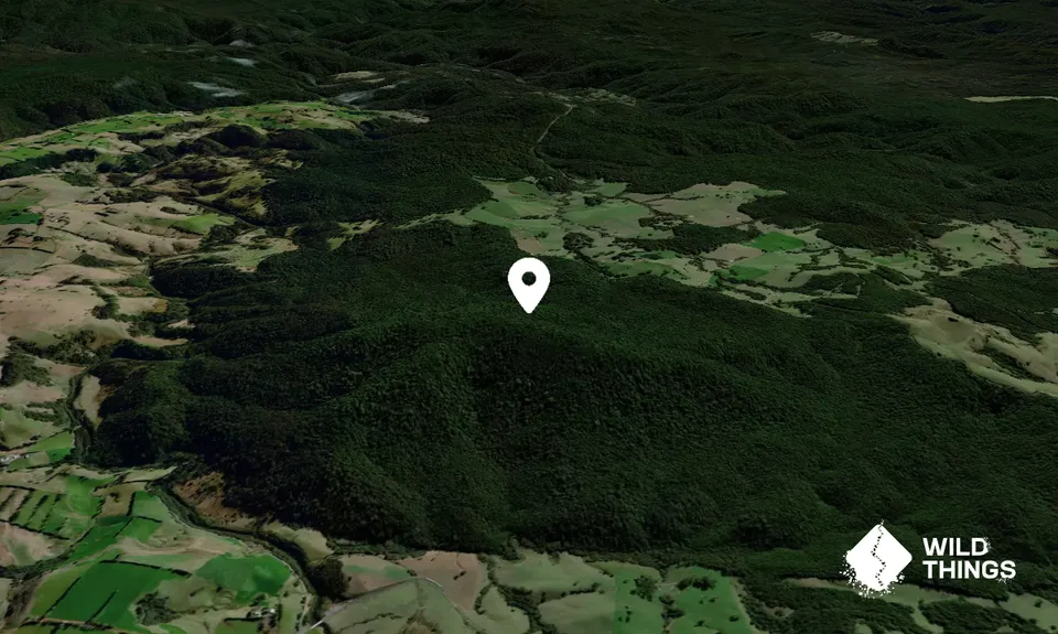 Mount Campion