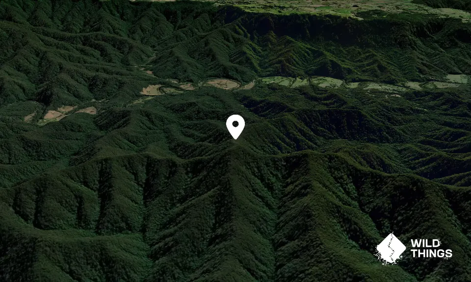 Scotchman Peak