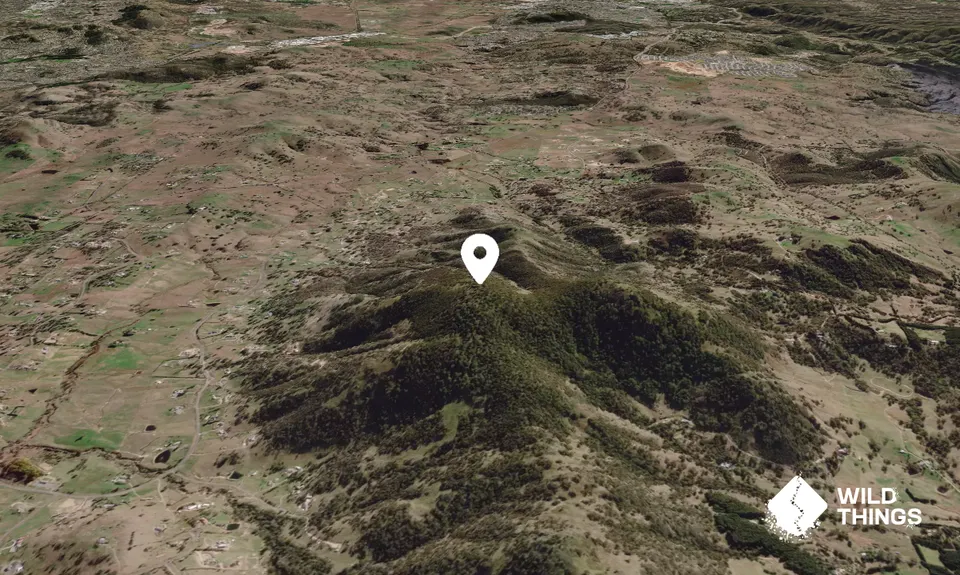 Mount Campbell