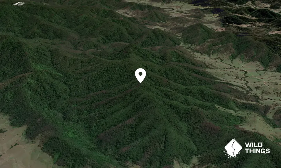Frosts Peak