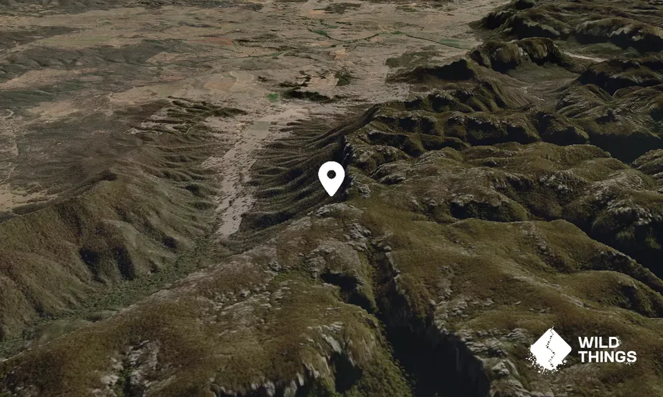 Mount Dawson