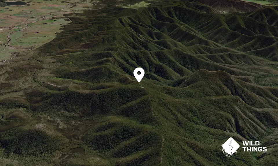 Deua Mountain