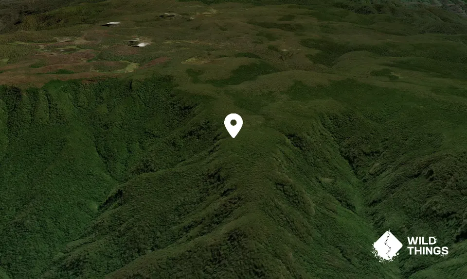 Mount William
