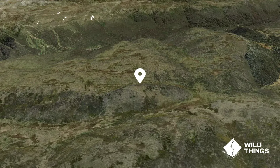 Mount Leo