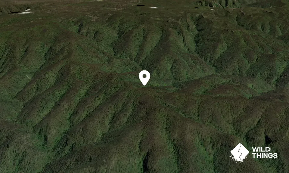Mount Savage