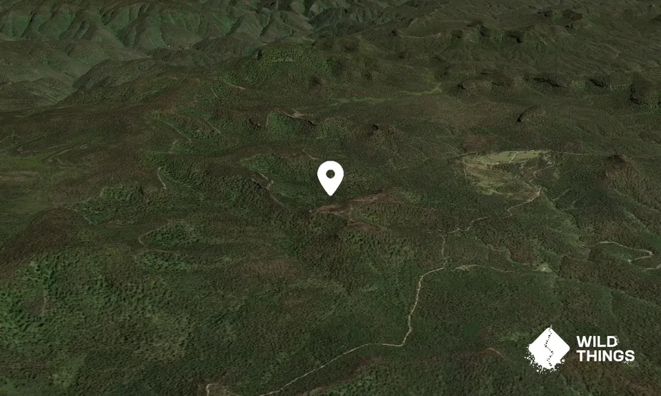 Mount Moore