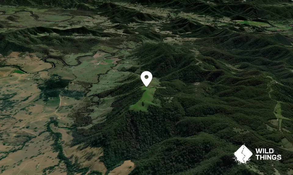 Mount Botumboin