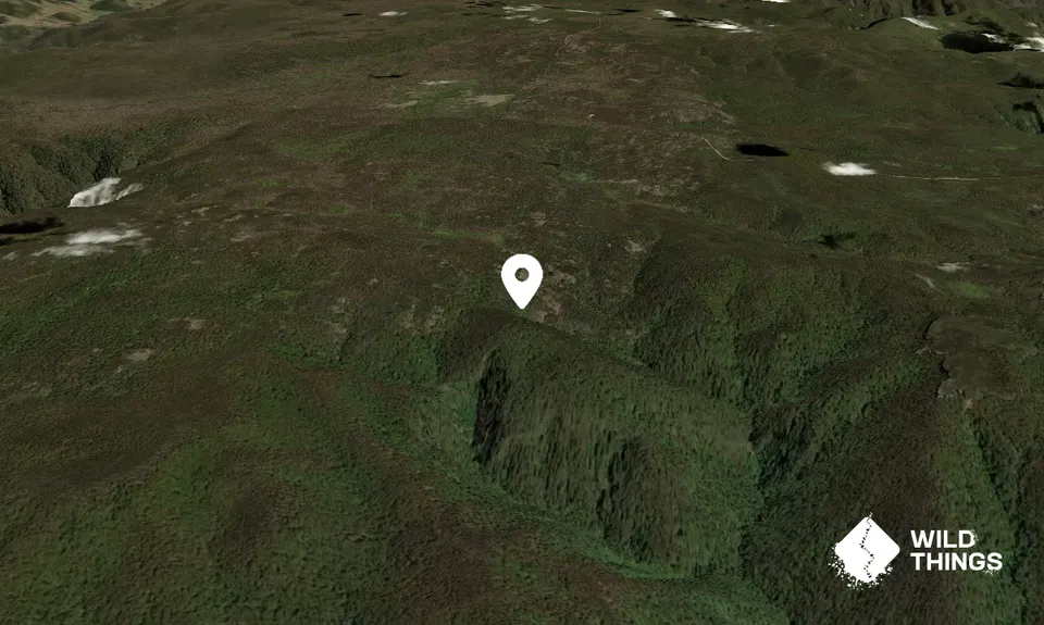 Mount Wheengee Whungee