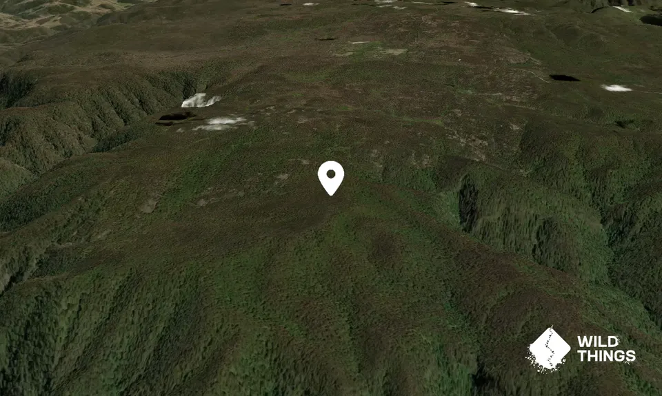 Mount Misery