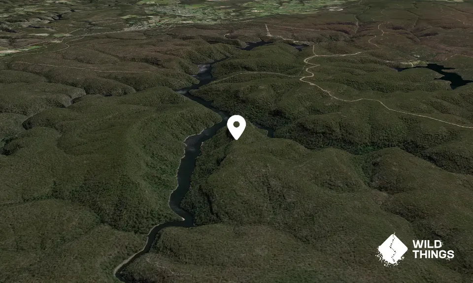 Mount Burke