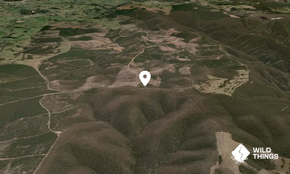 Mount Trickett