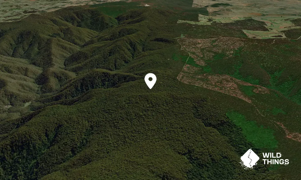 Dicks Hut
