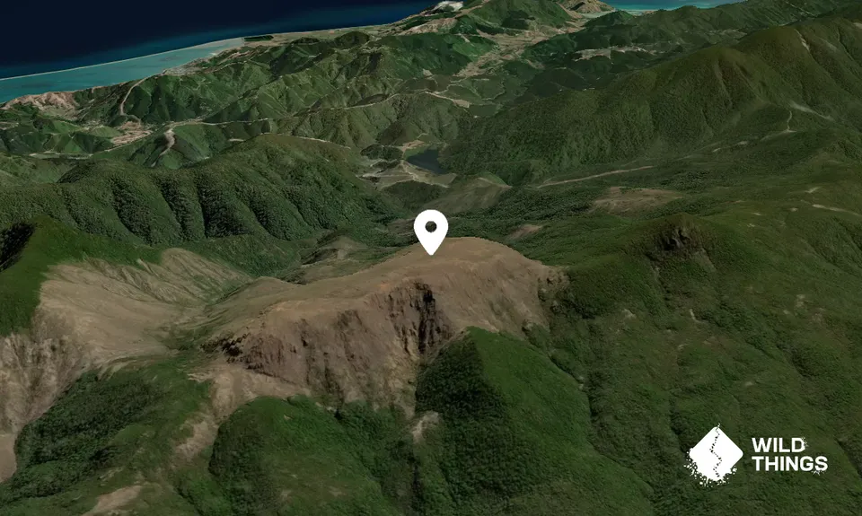 Dun Mountain