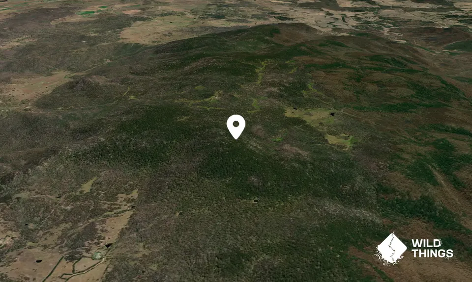 South Black Range