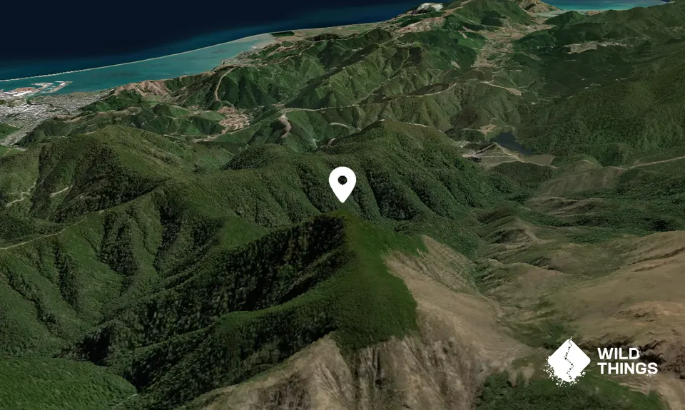 Wooded Peak