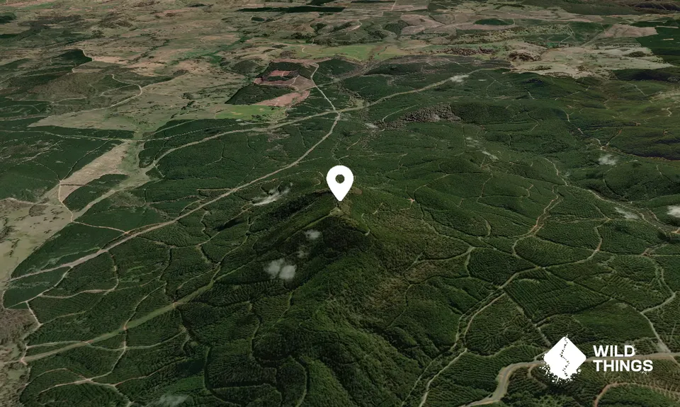 Tumorrama Mountain