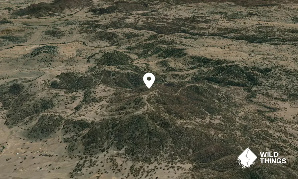 Yellow Bull Mountain