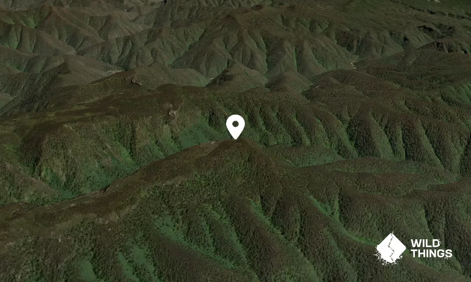 Ti Willa Hill