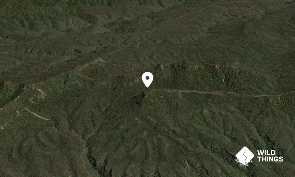 Bull Island Peak