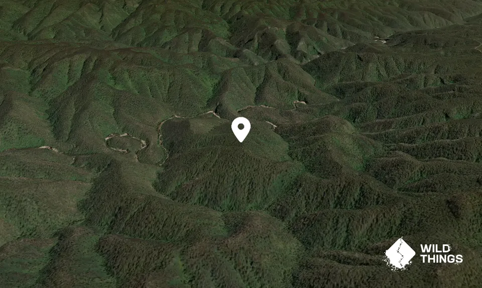Mount Milo