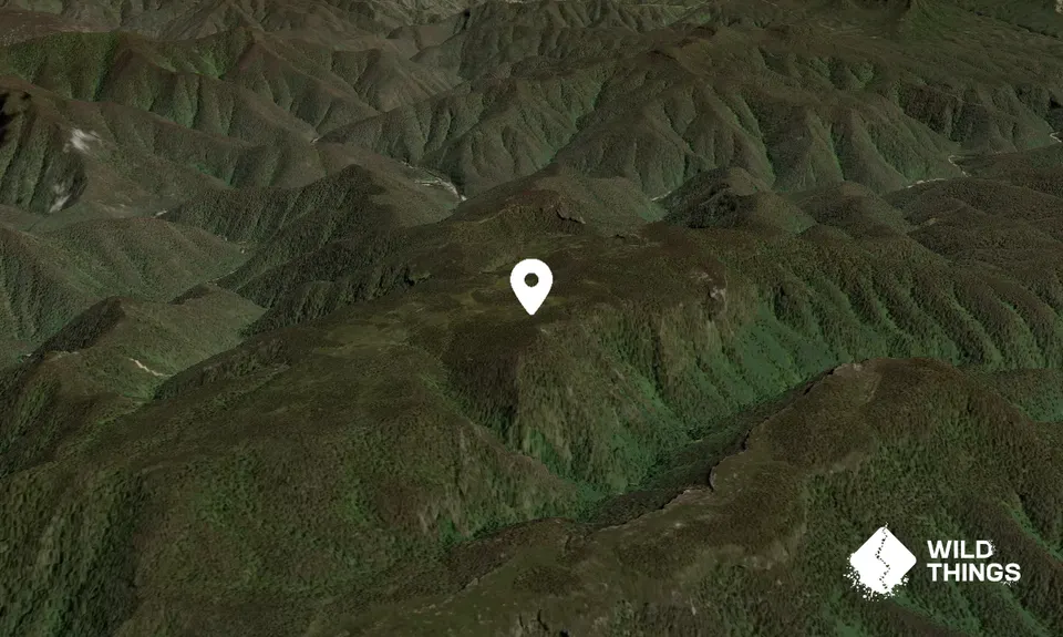 Mount Bolworra