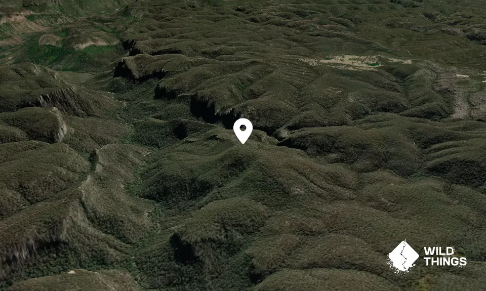 Flat Top Mountain