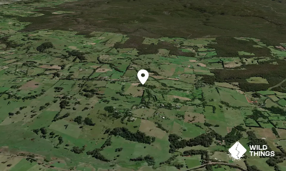 Wingecarribee
