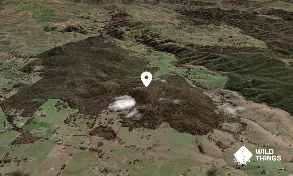 Mount Wells