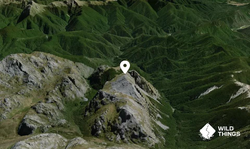Billies Knob
