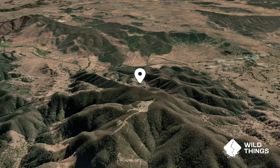 Mount Knowles