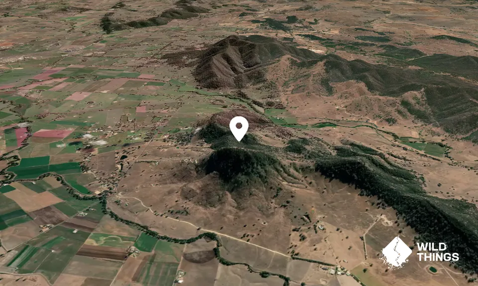 Mount Frome