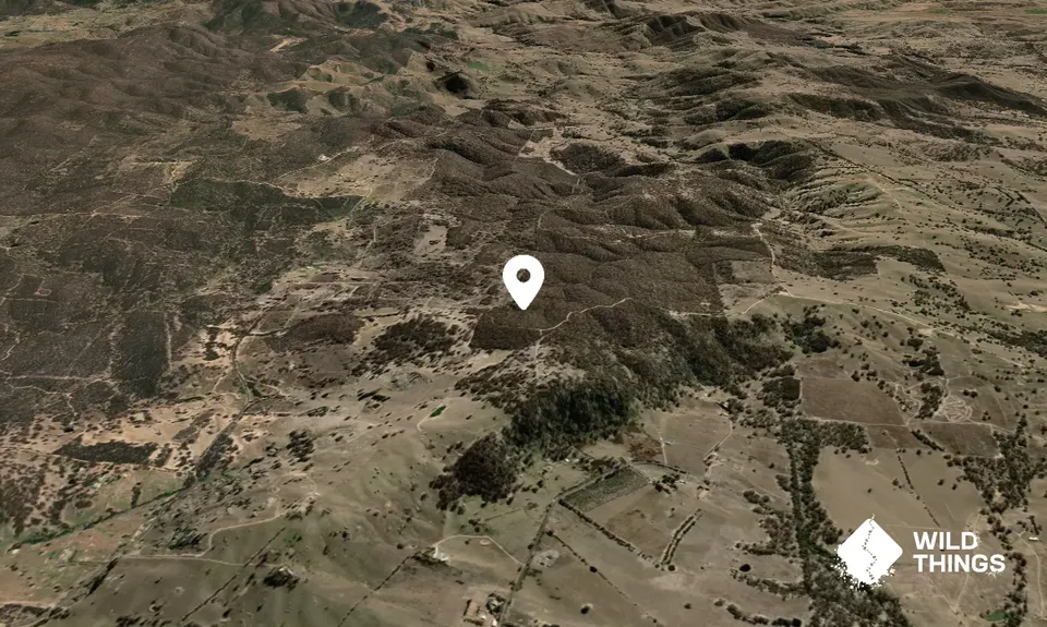 Mount Rankin