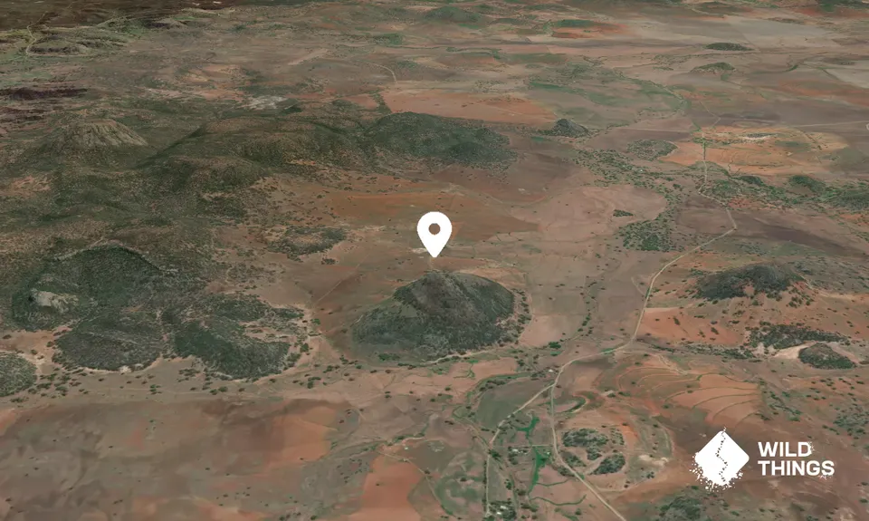 Goorindi Mountain