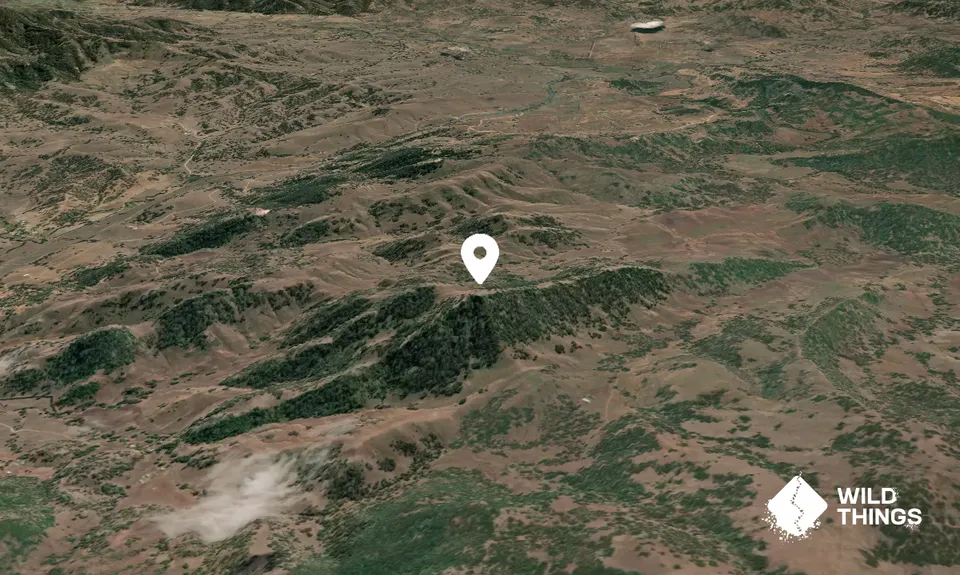 Gateleys Mountain