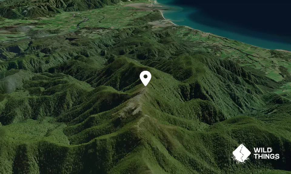 Parapara Peak