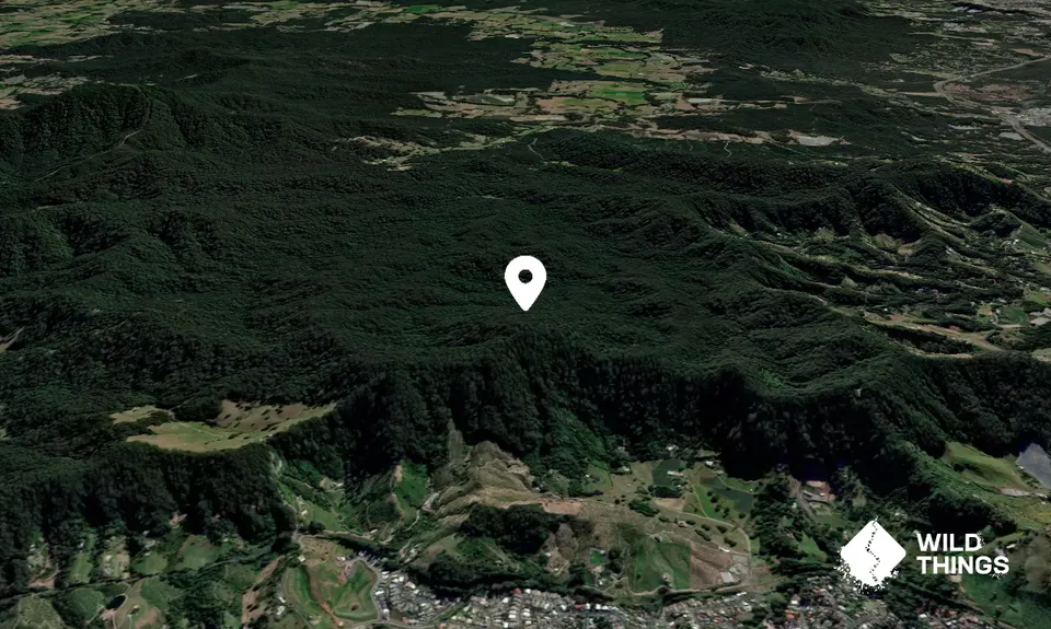 End Peak