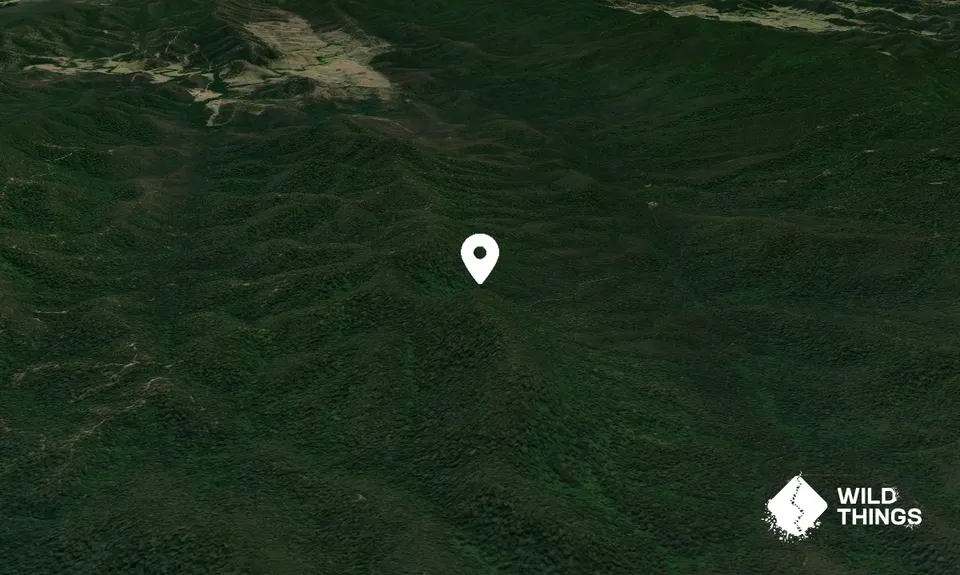 Conical Mountain